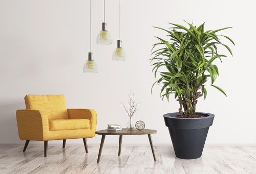 Wersje kolorystyczne